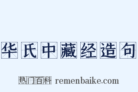 华氏中藏经造句是什么意思的图片